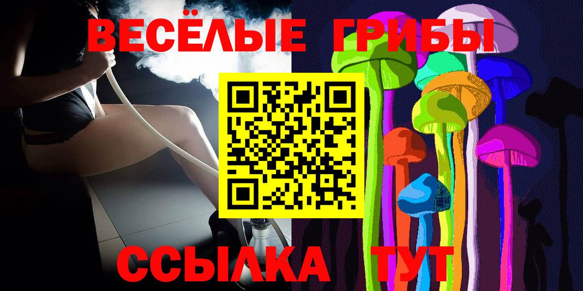 Галлюциногенные грибы Psilocybe Артём