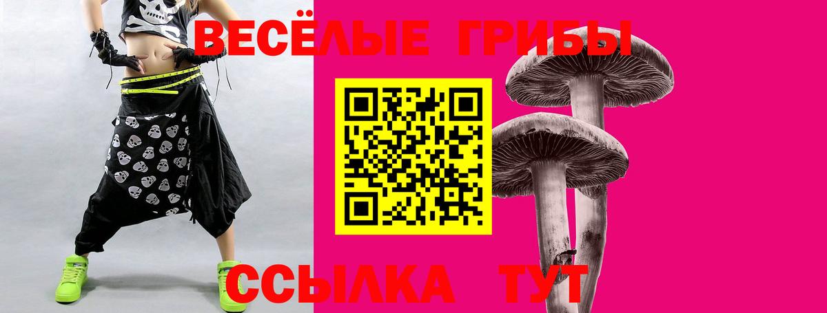 Псилоцибиновые грибы MAGIC MUSHROOMS  Вход с VPN  Артём  Галлюциногенные грибы прущие грибы 